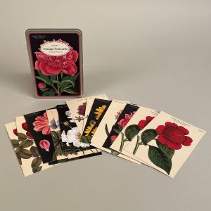 Postkort i metalæske 18 stk. Forskellige blomster.