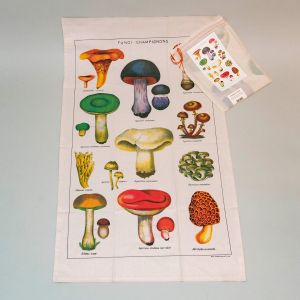 Viskestykke svampe