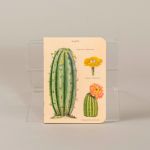 Notesbog med kaktus, sæt a 3 stk. small 3