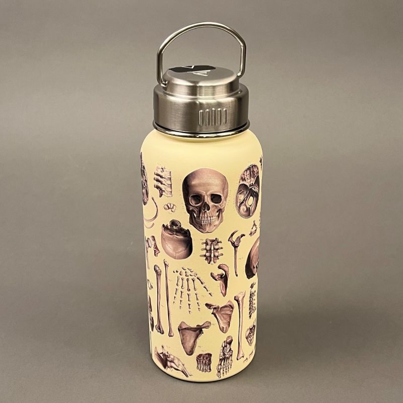 Termobeholder, hot & cold med motiv af menneskekroppens knogler  1