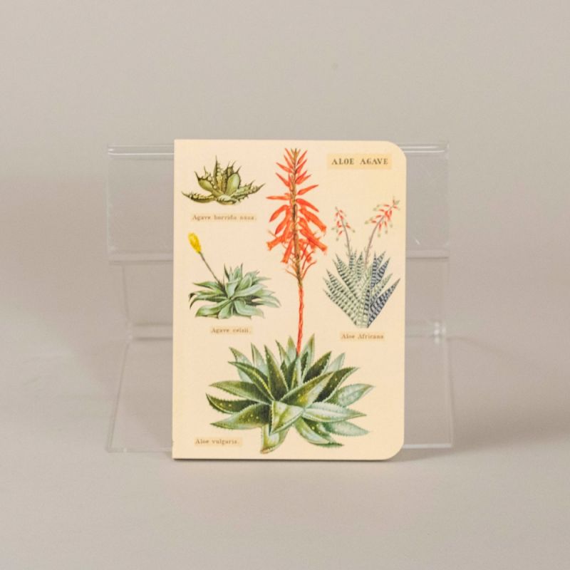 Notesbog med kaktus, sæt a 3 stk. 4