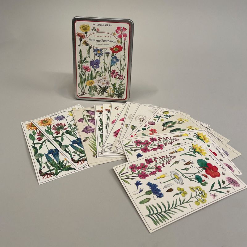 Postkort i metalæske med motiv af vilde blomster 1