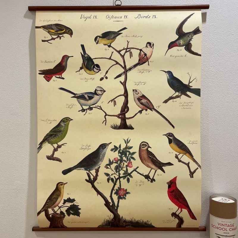 Rullekort, vintage, fugle 1