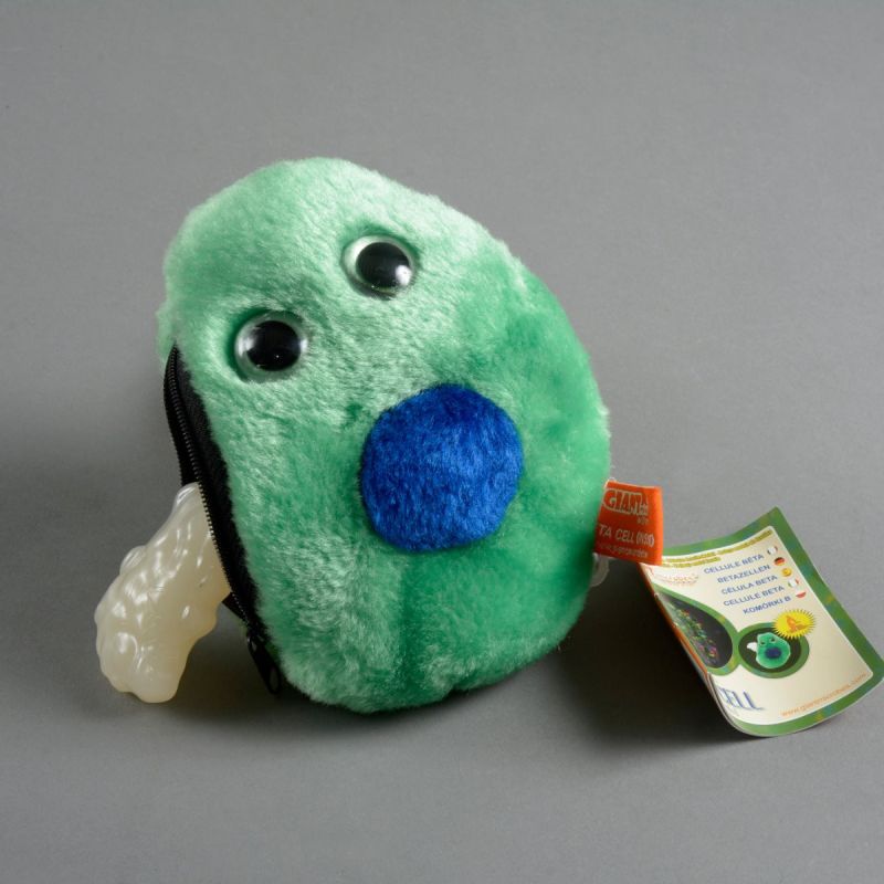 Diabetes betacelle med insulinhormon indeni 1