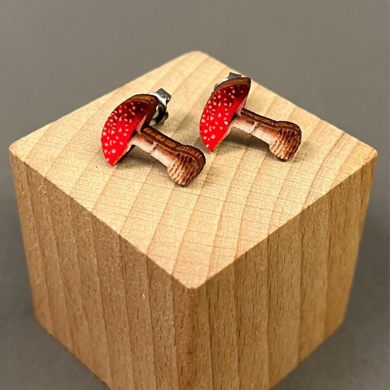 Ørestikker Fluesvamp 1