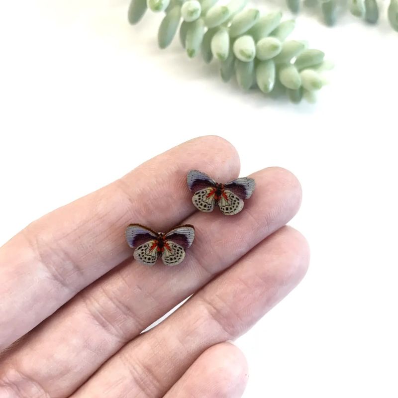 Ørestikker Sommerfugl blå  1