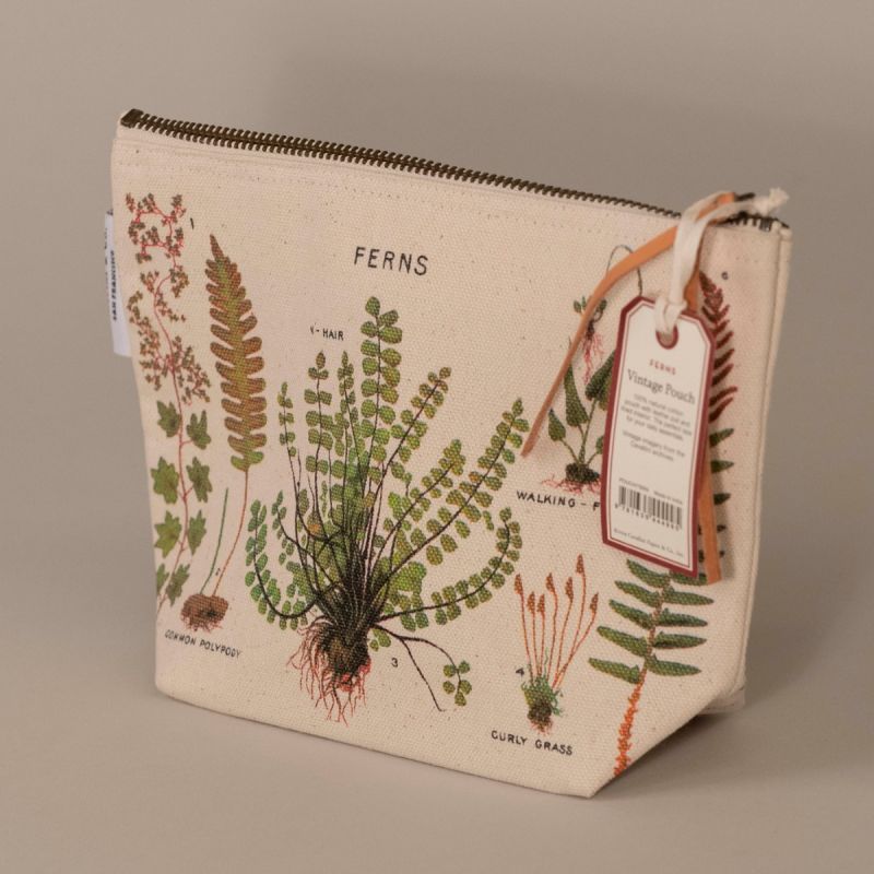 Toilettaske bregne 1