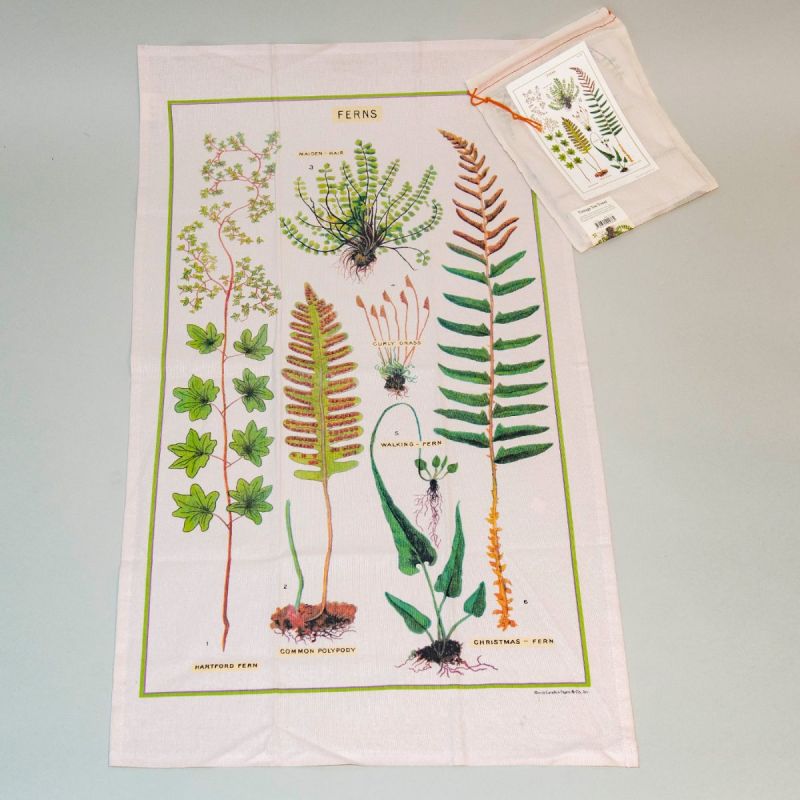 Viskestykke bregne 1