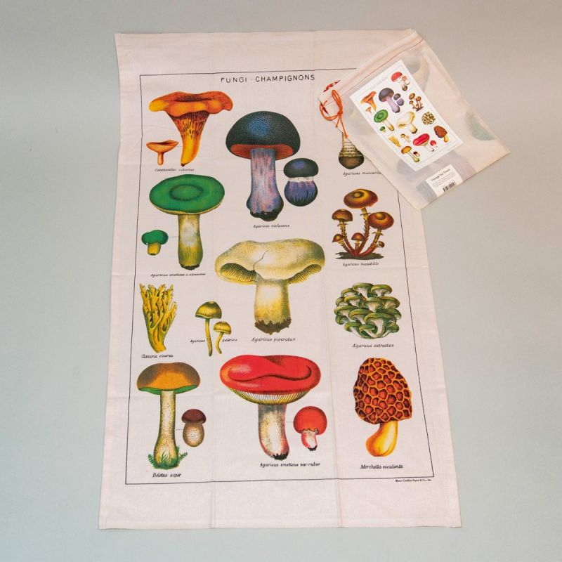 Viskestykke svampe 1