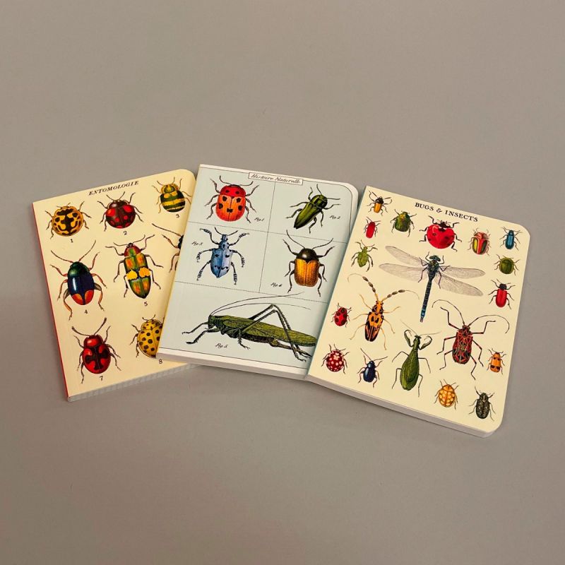 Notesbog med motiver af forskellige biller og insekter, sæt a 3 stk. 1