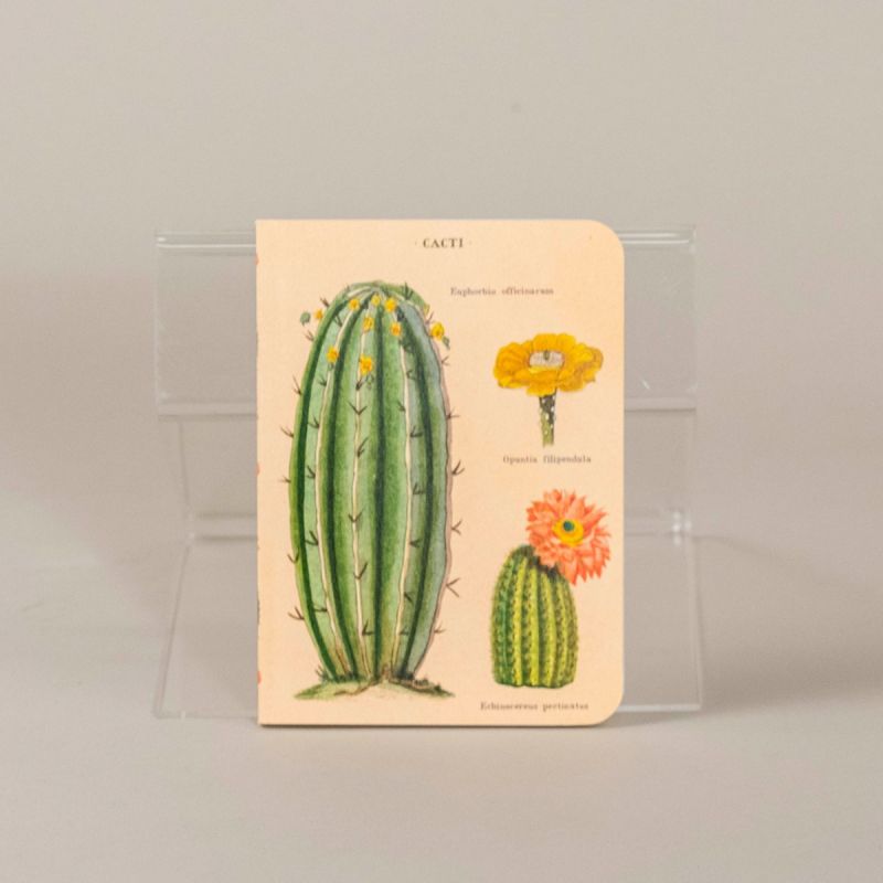 Notesbog med kaktus, sæt a 3 stk. 3