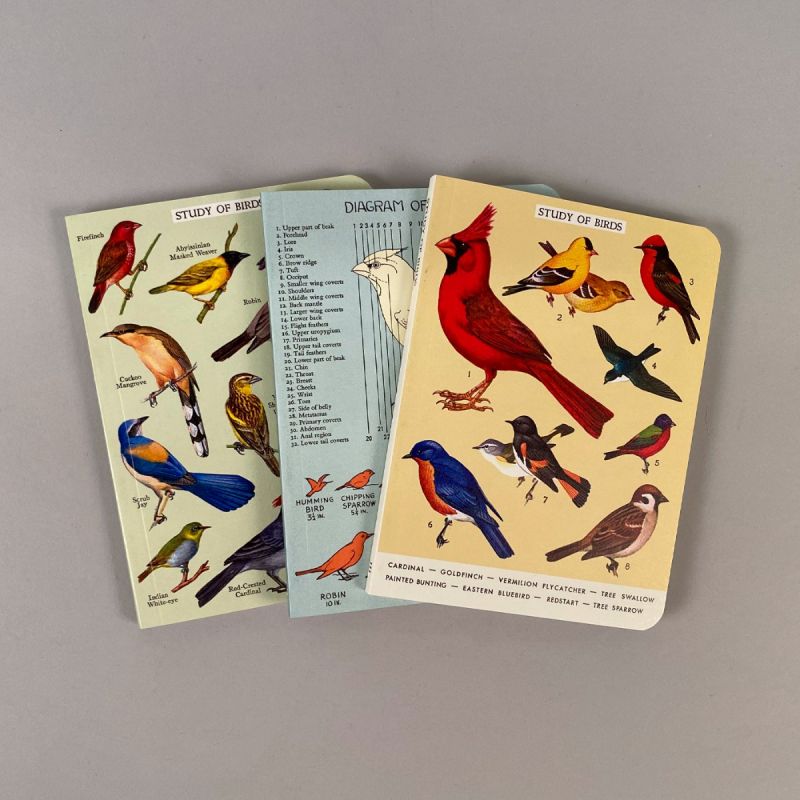 Notesbog med motiver af forskellige fugle, sæt a 3 stk. 1