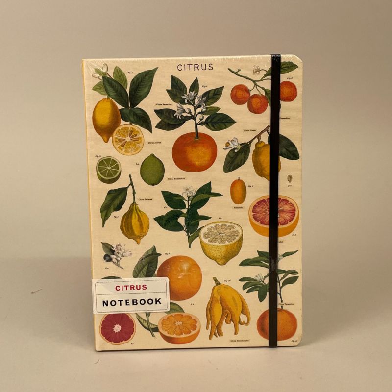 Notesbog med motiv af forskellige citrusfrugter, linjeret 1