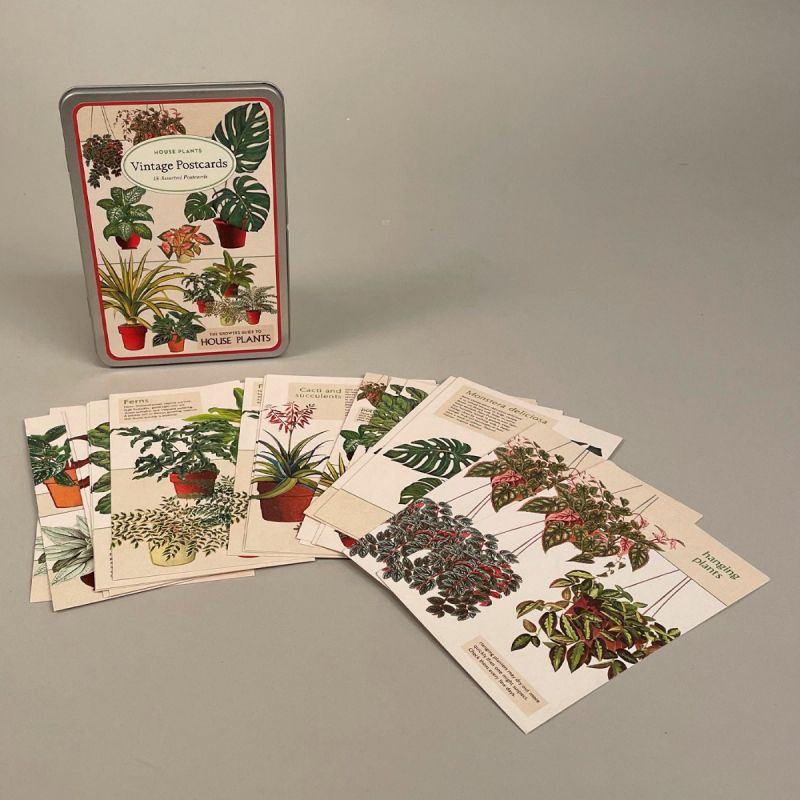 Postkort i metalæske med motiv af forskellige stueplanter 1