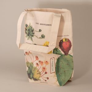 Indkøbsnet-sukulenter