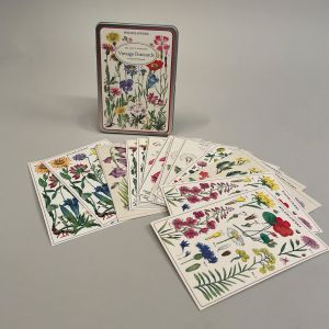 Postkort med motiv af vilde blomster