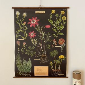 Rullekort herbarium