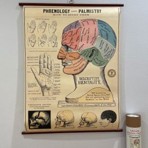 Rullekort, vintage, Phrenology og håndlæsning