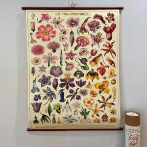 rullekort,-vintage,-botaniske-blomstertegninger