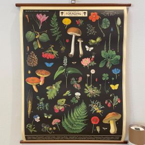 rullekort,-vintage,-med-motiv-af-skovbunden-(sanke)
