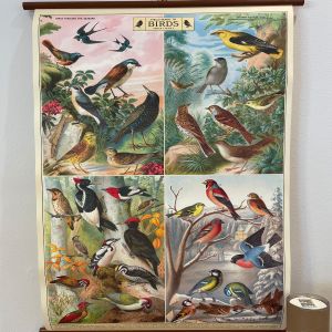 rullekort,-vintage,-med-motiv-af-fugle-opdelt-i-aarstider