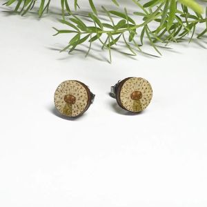 Ørestikker Mælkebøttefrø