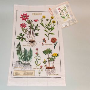 Viskestykke herbarium