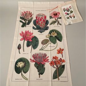 Viskestykke tropiske planter