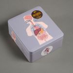 Madkasse med torso small 2