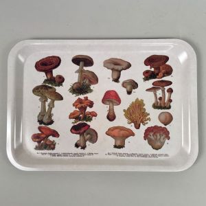 Serveringsbakke med motiv af forskellige svampe