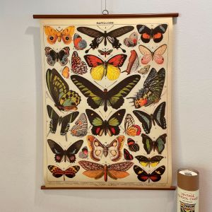 Rullekort sommerfugle