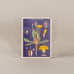 Notesbog med vilde blomster, sæt a 3 stk. small 3